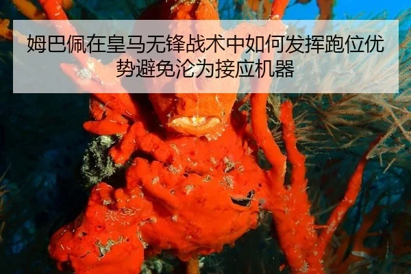姆巴佩在皇马无锋战术中如何发挥跑位优势避免沦为接应机器
